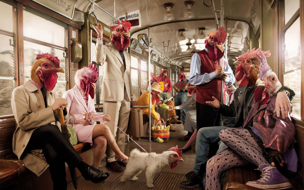 Поездка в курятнике