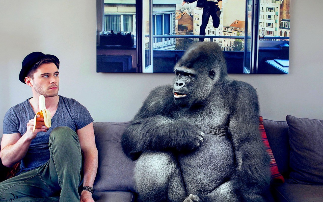 Давид Олкарни с бананом