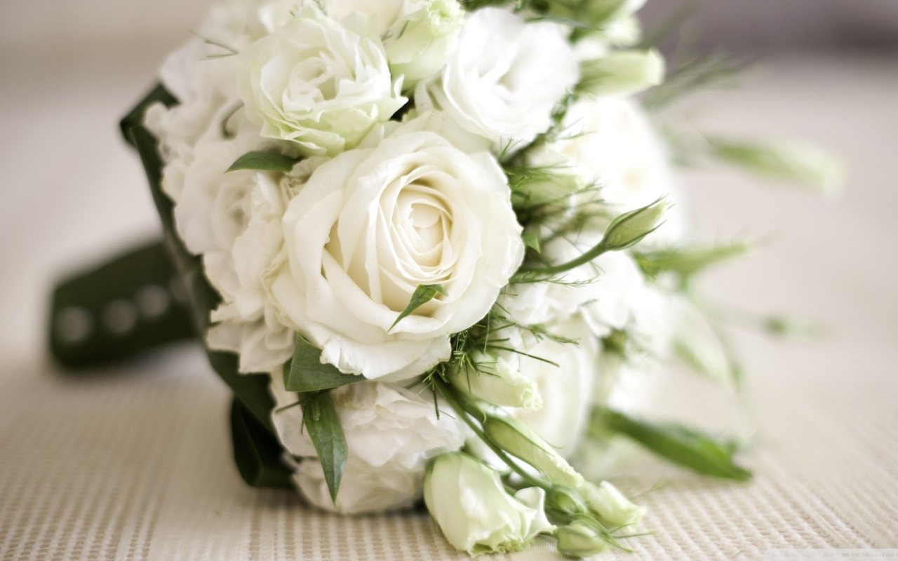 Красивые белые розы в подарок женщинам на восьмое марта