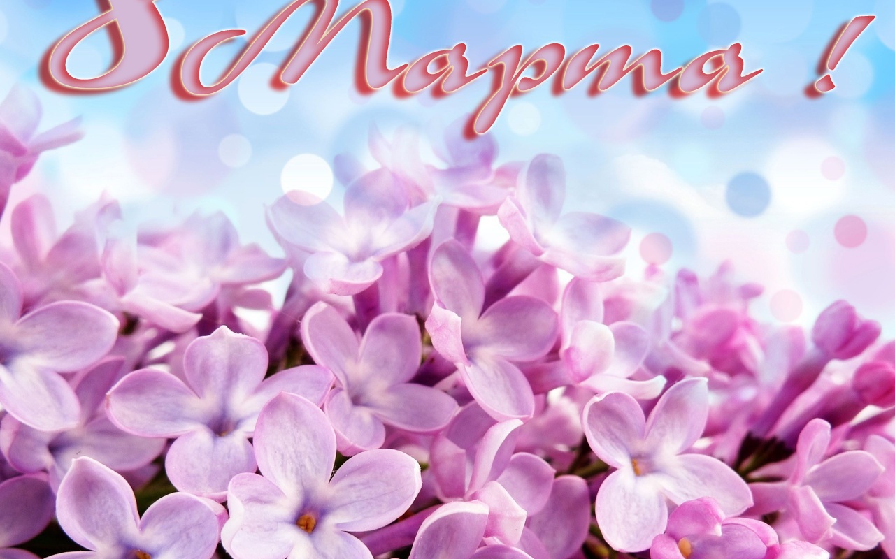 Первоцвет на 8 марта