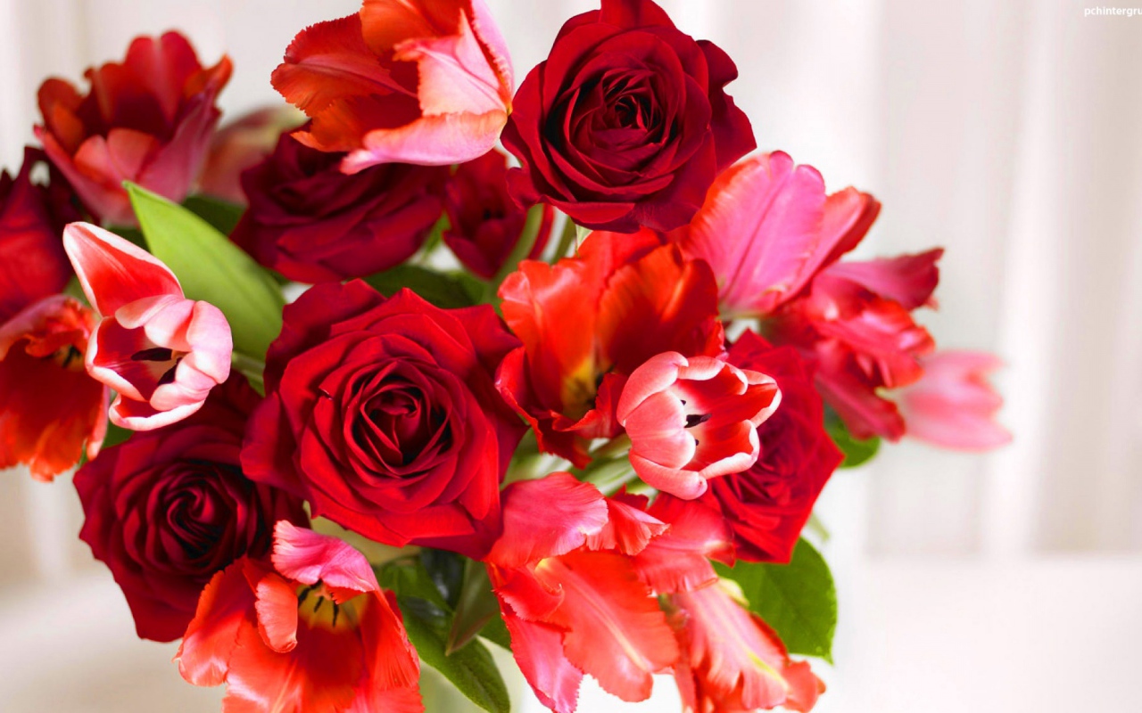 Красные розы и красные тюльпаны в подарок на восьмое марта