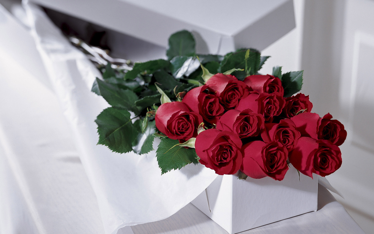 Красные розы на 8 марта в белой коробке