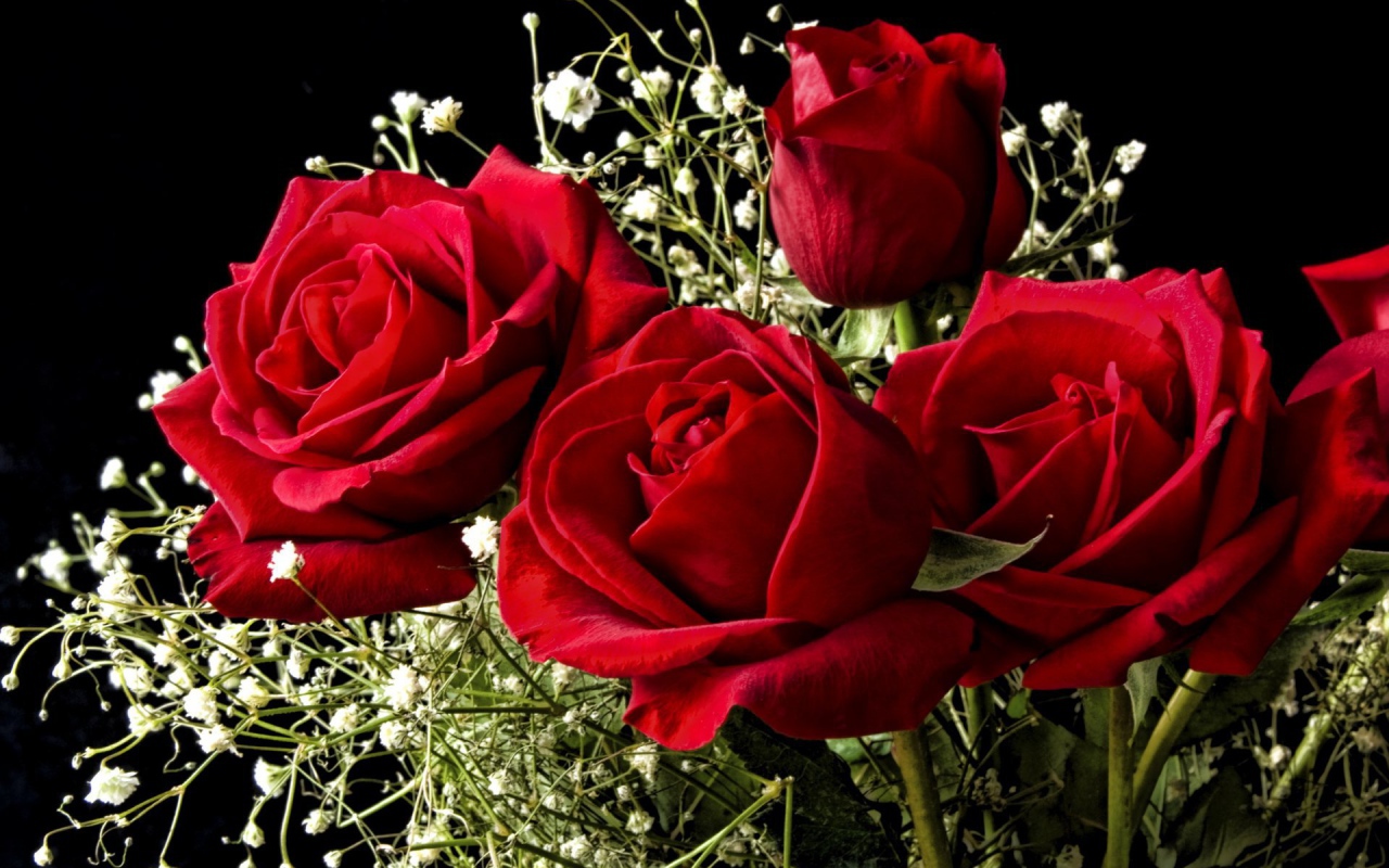 Красные розы на 8 марта на черном фоне