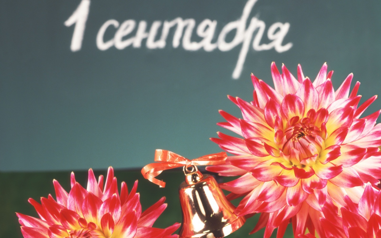 Праздник знаний День знаний 1 сентября