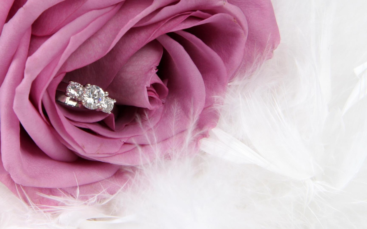 Фиолетовая роза и кольцо, предложение руки и сердца