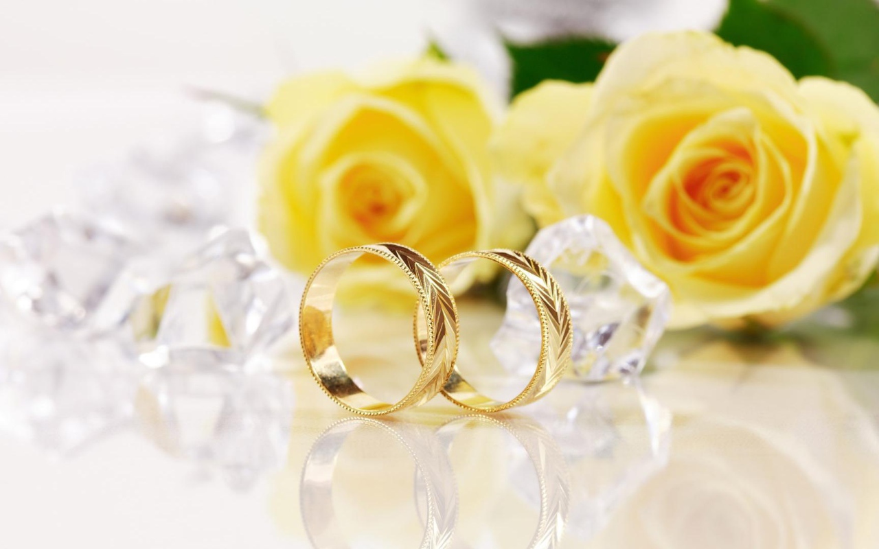 Жёлтые розы и золотые свадебные кольца