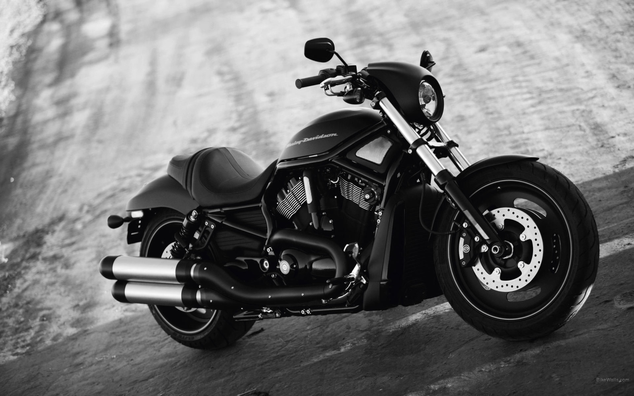 Красивый мотоцикл Harley-Davidson Night Rod Special