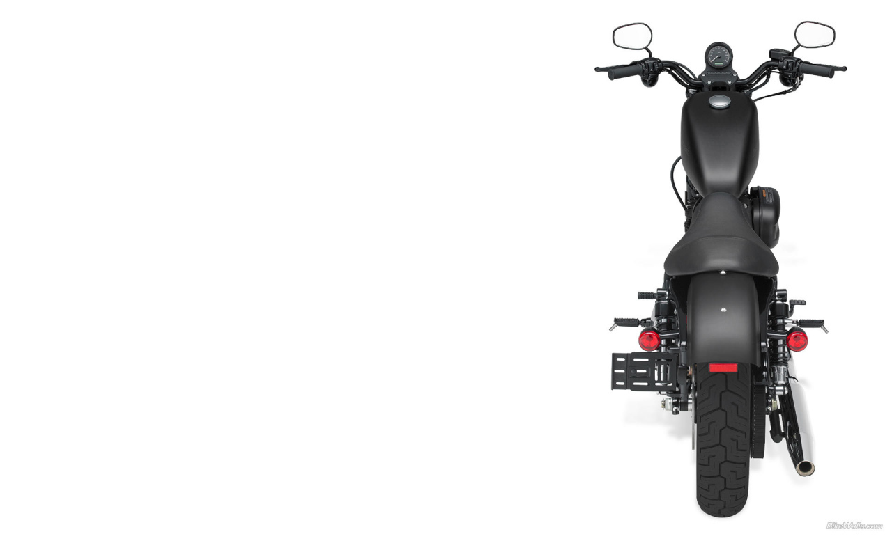 Красивый мотоцикл Harley-Davidson XL 883N Sportster Iron