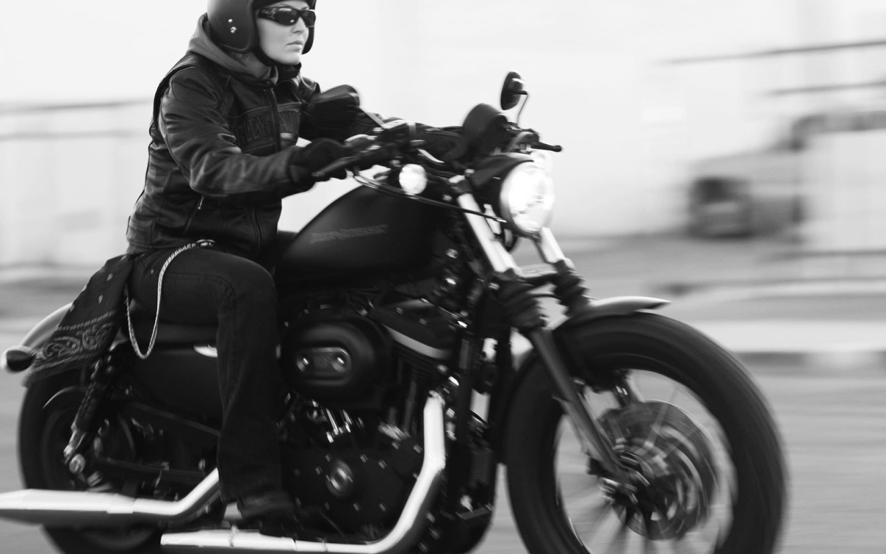 Быстрый мотоцикл Harley-Davidson XL 883N Sportster Iron