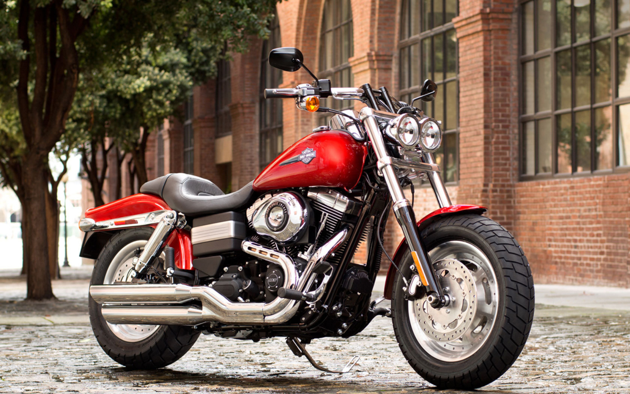 Новый мотоцикл на дороге Harley-Davidson Dyna Fat Bob