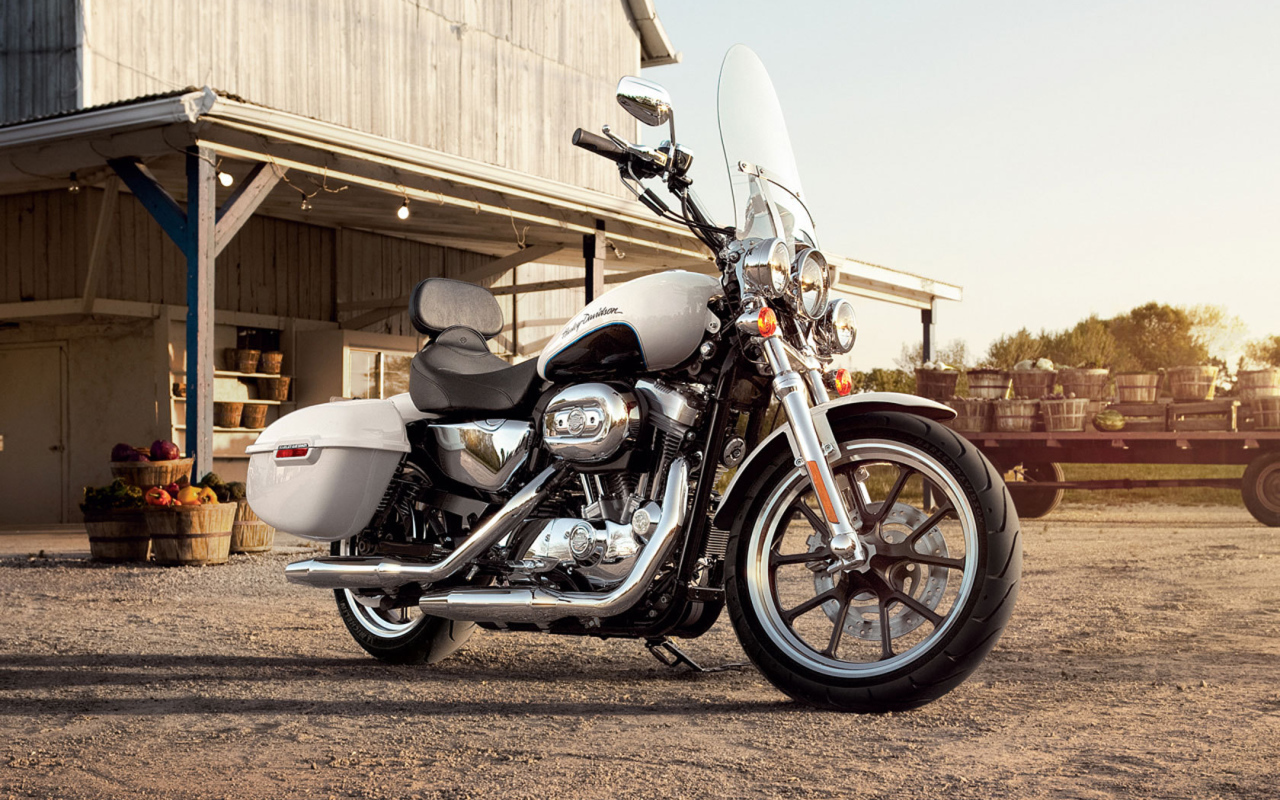 Новый мотоцикл на дороге Harley-Davidson XL 883L Sportster