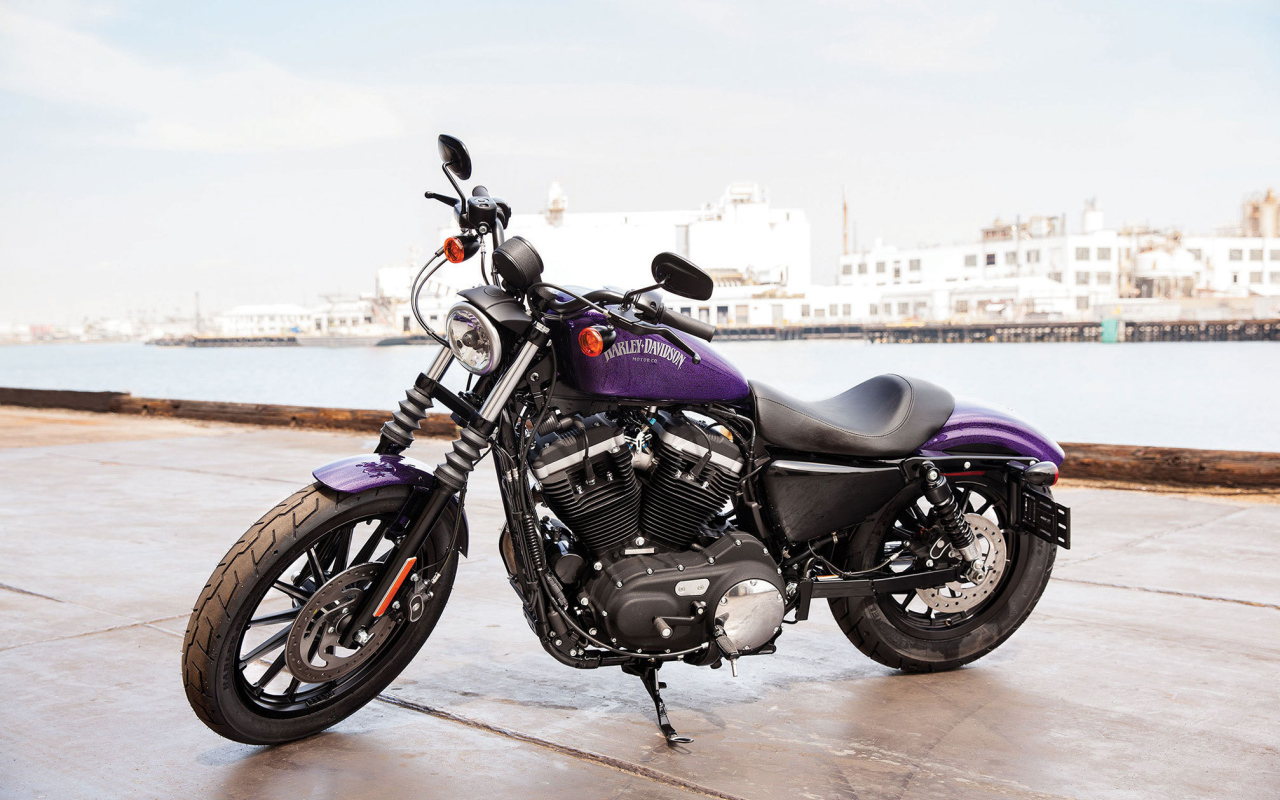 Новый мотоцикл на дороге Harley-Davidson XL 883N Sportster Iron