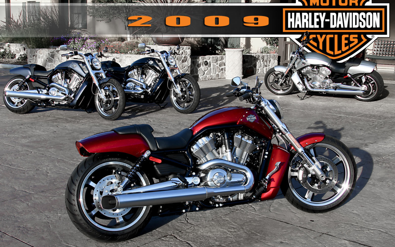 Новый мотоцикл Harley-Davidson V-Rod Muscle