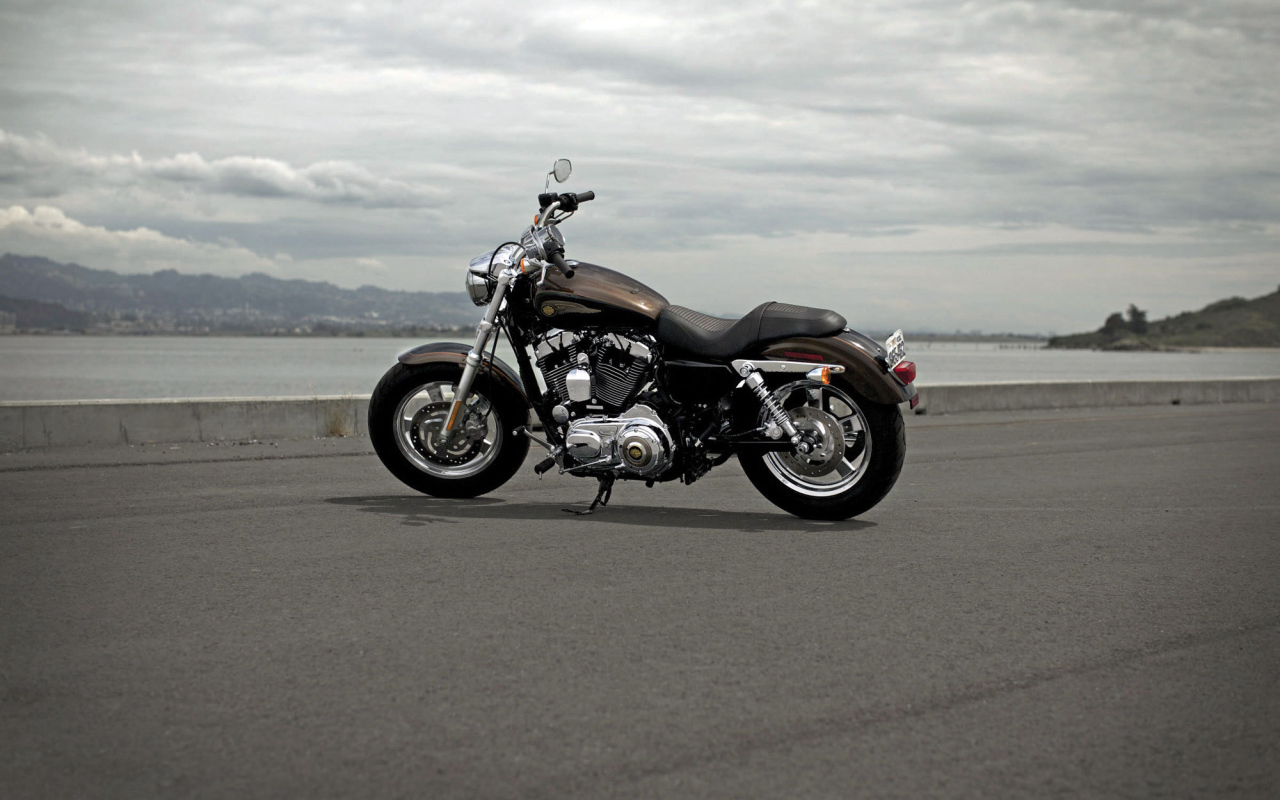 Тест-драйв мотоцикла Harley-Davidson XL 1200C Sportster Custom