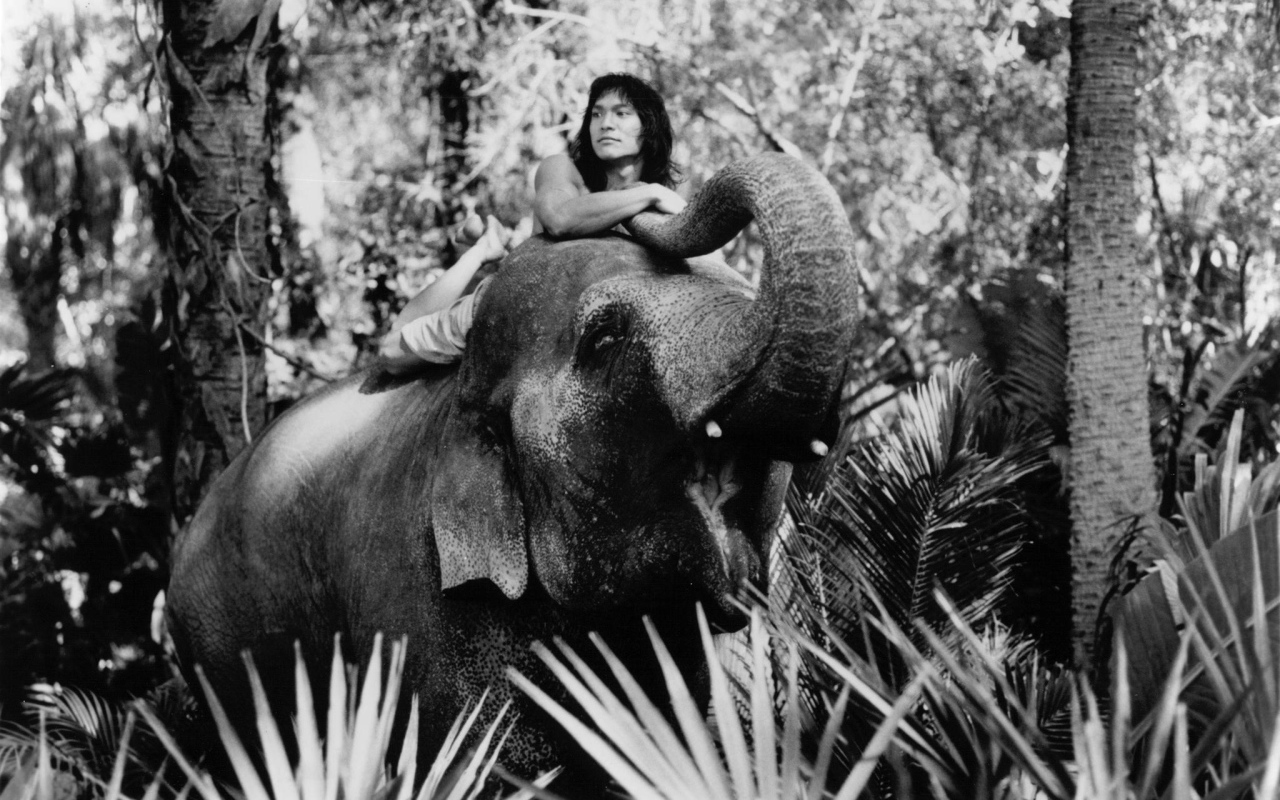 Книга джунгле