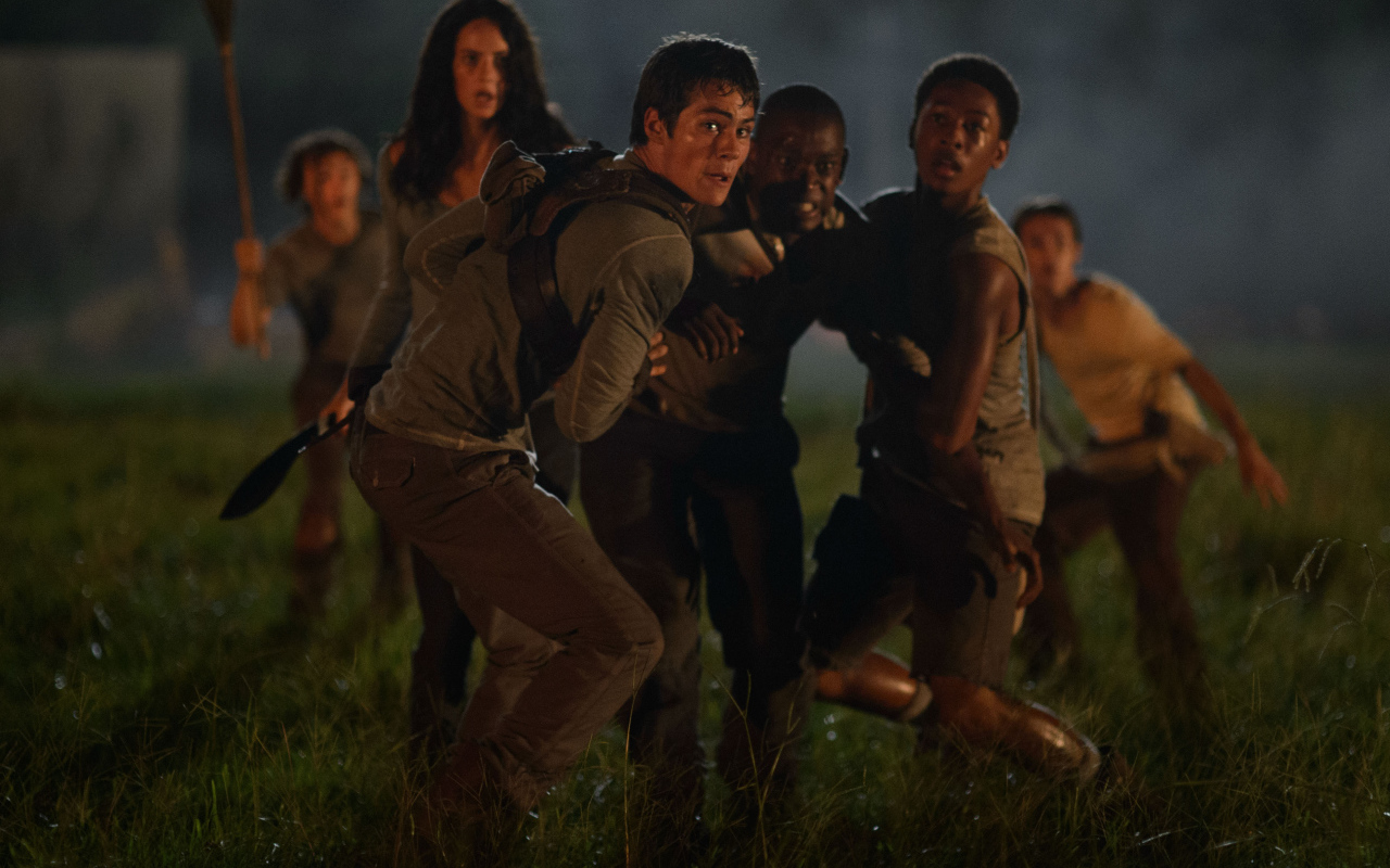 Бегущий по лабиринту на поле