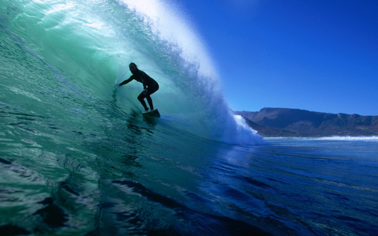   На гребне волны