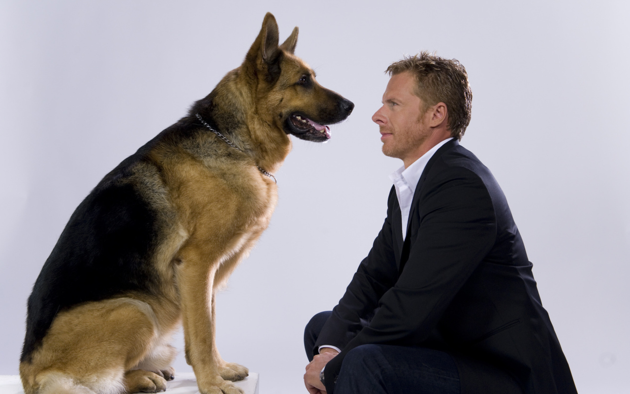  Комиссар Рекс