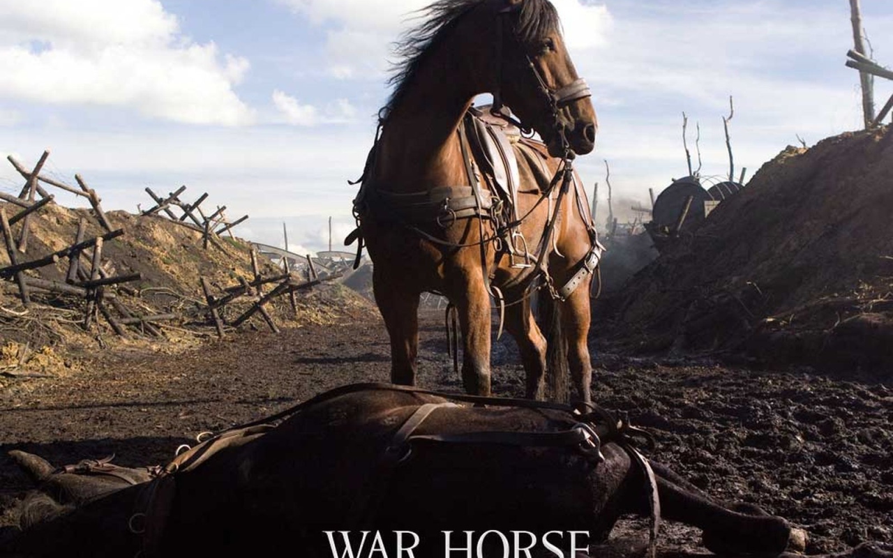 Боевой конь