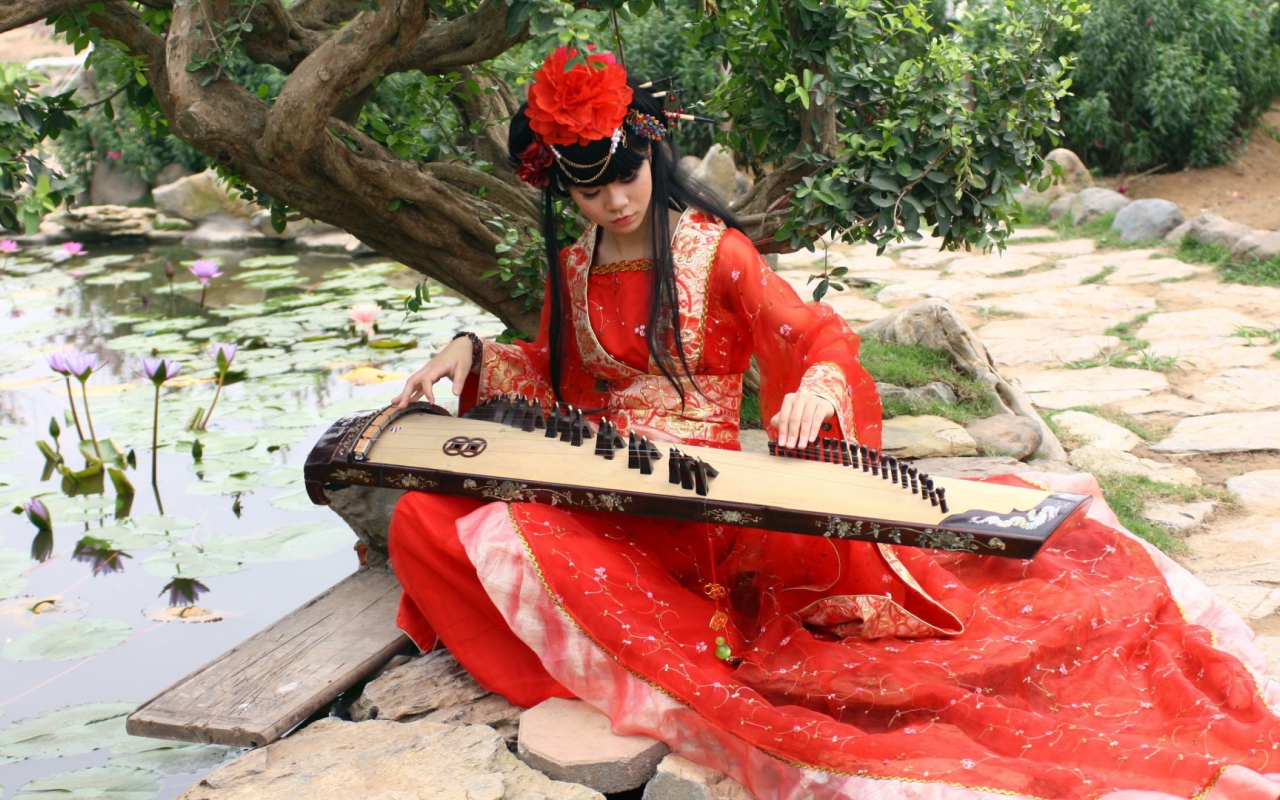 Утренние кувшинки под музыку