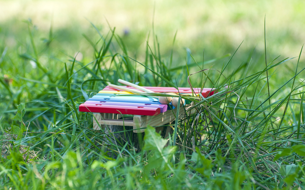 Музыкальный инструмент Маримба