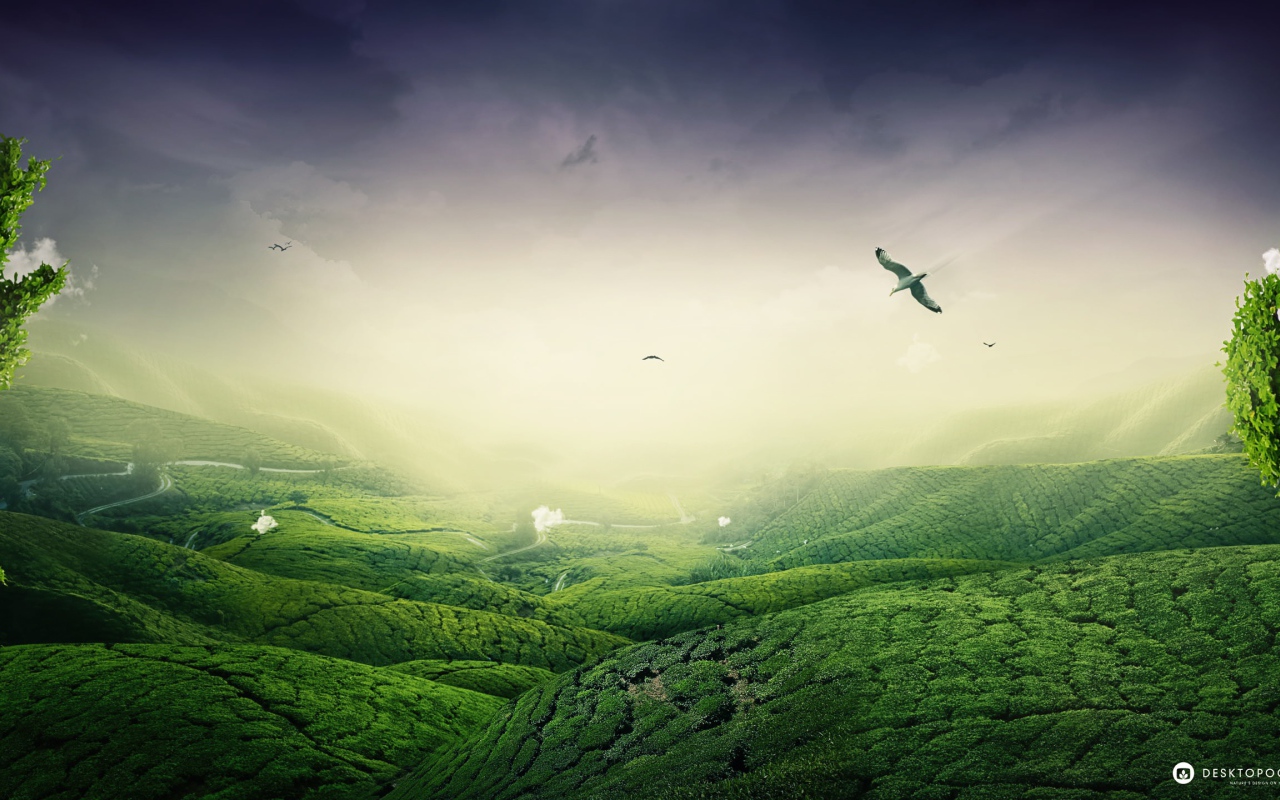 Зеленый пейзаж