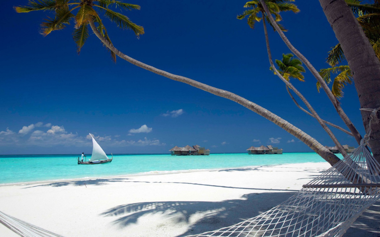 Гамак на лазурном берегу