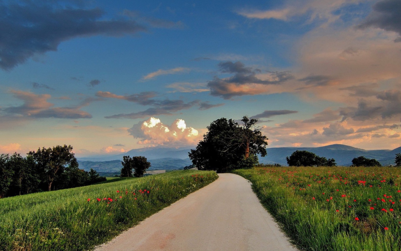 Дорога сельской местности