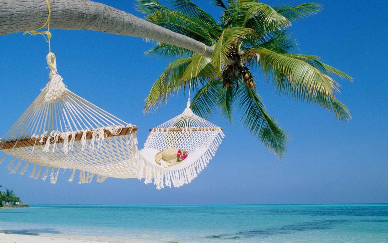 Гамак на пальме