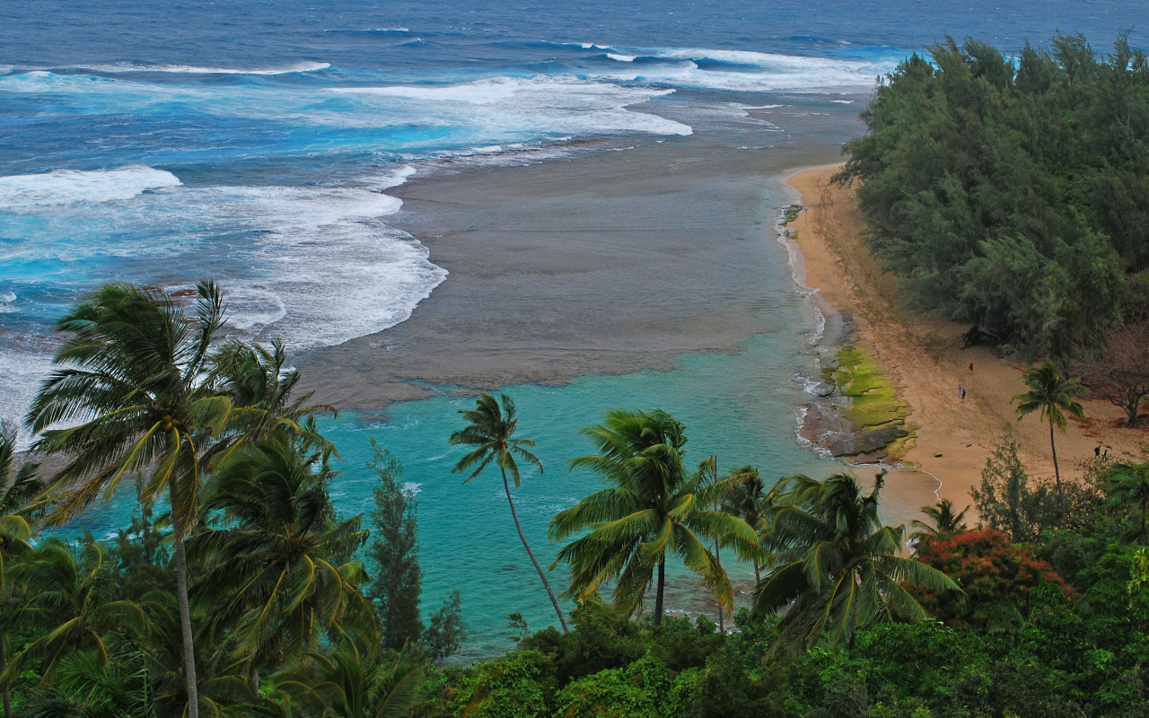 Дикий пляж у моря