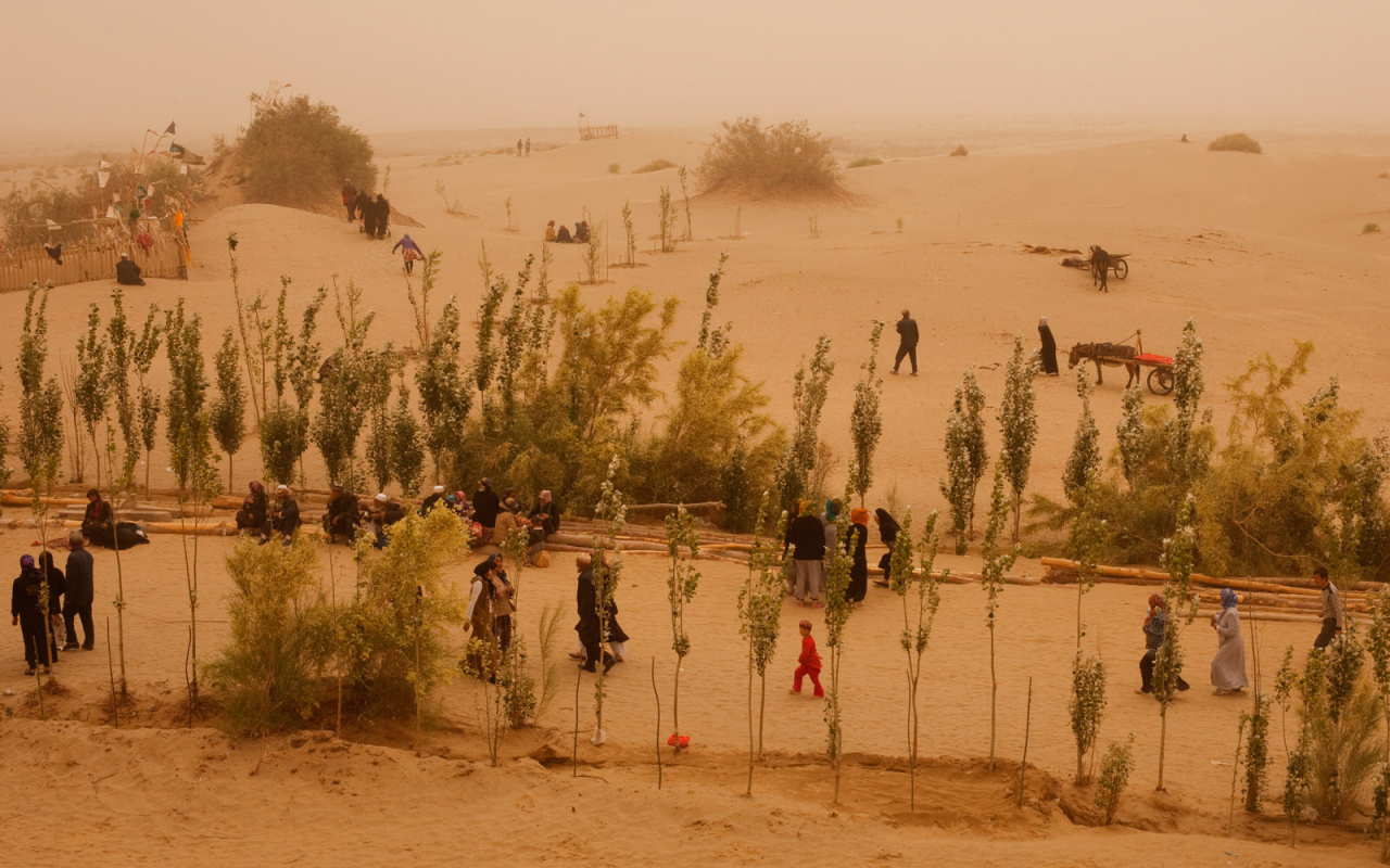 Жизнь в пустыне