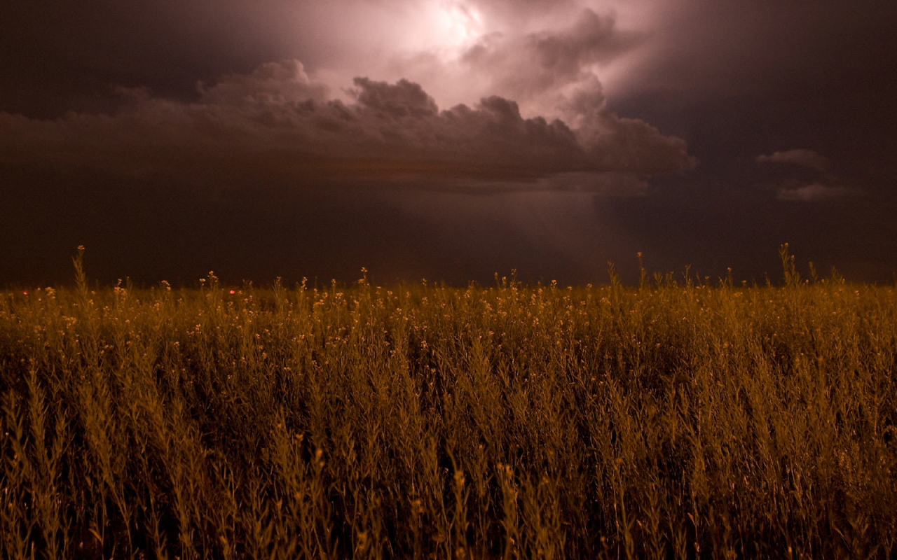 На поле надвигается гроза