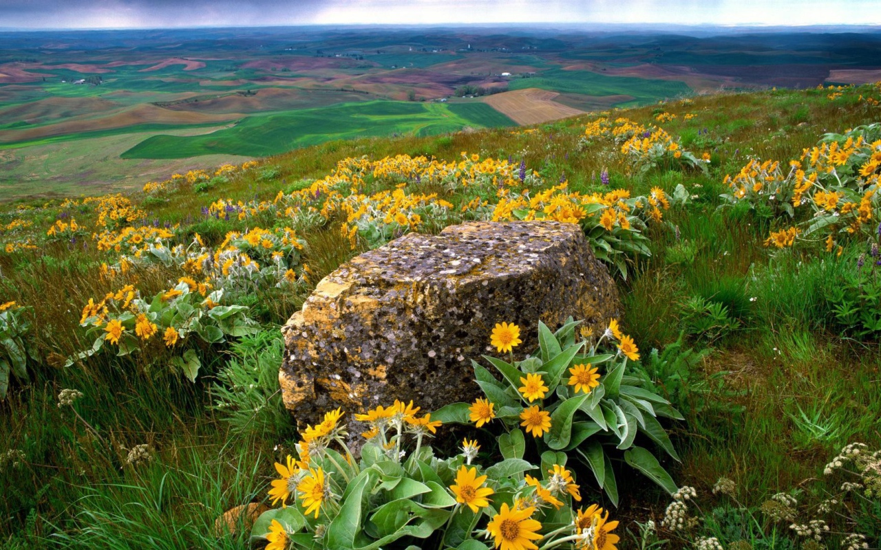 Пейзаж штата Вашингтон