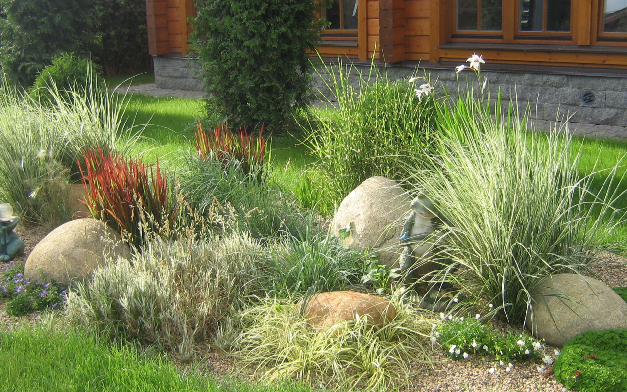 Красивая альпийская горка возле дома