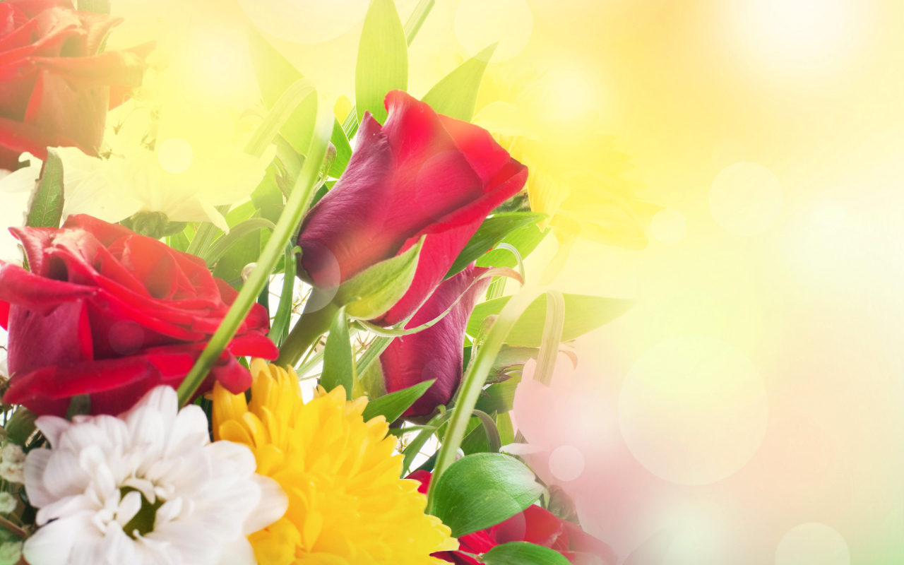 Хризантема и роза красивый букет