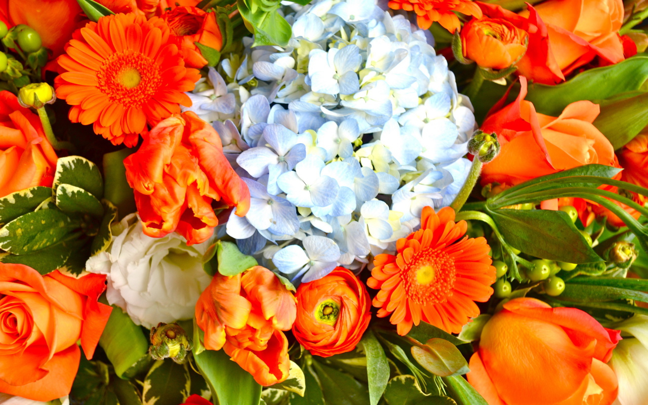 Красивые цветы гербера в парке