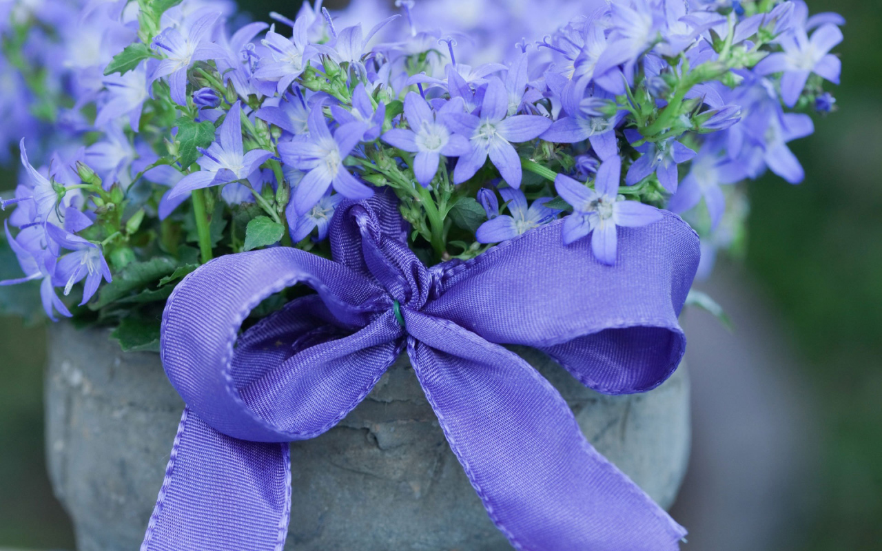 Колокольчики в горшке