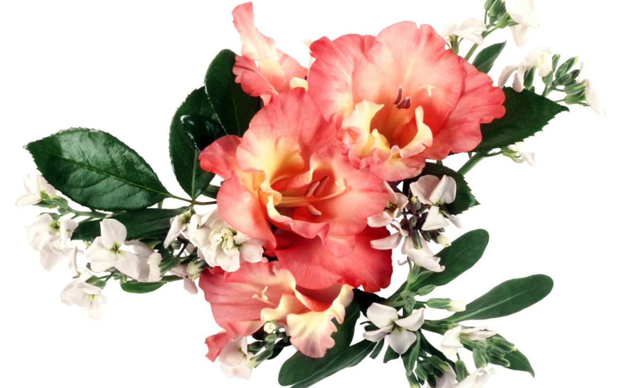 Букет оранжевых гладиолусов