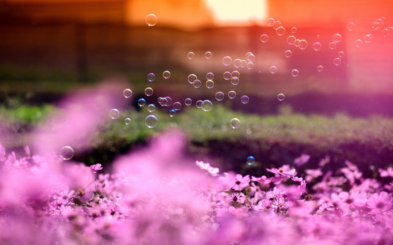 Мыльные пузыри