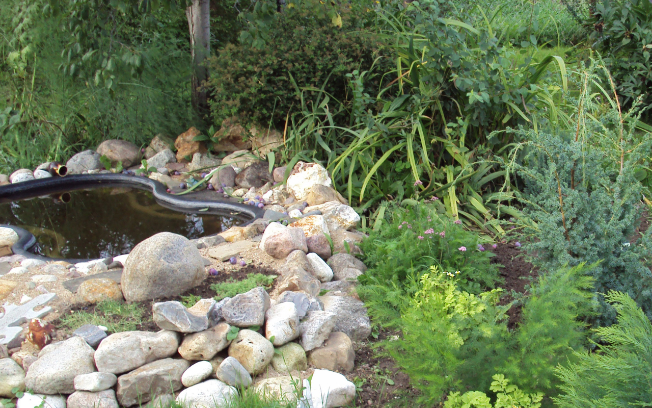 На поляне красивая альпийская горка