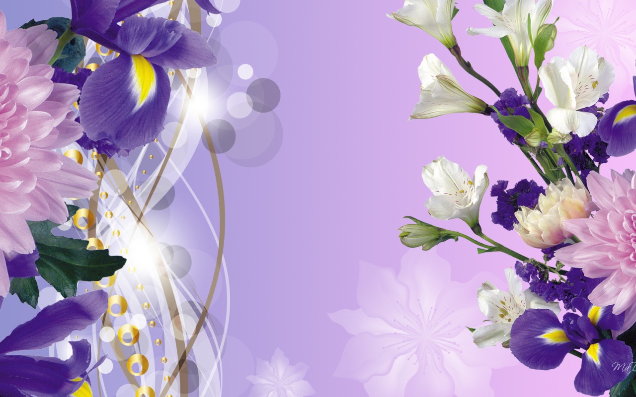 Ирисы на фоне неба