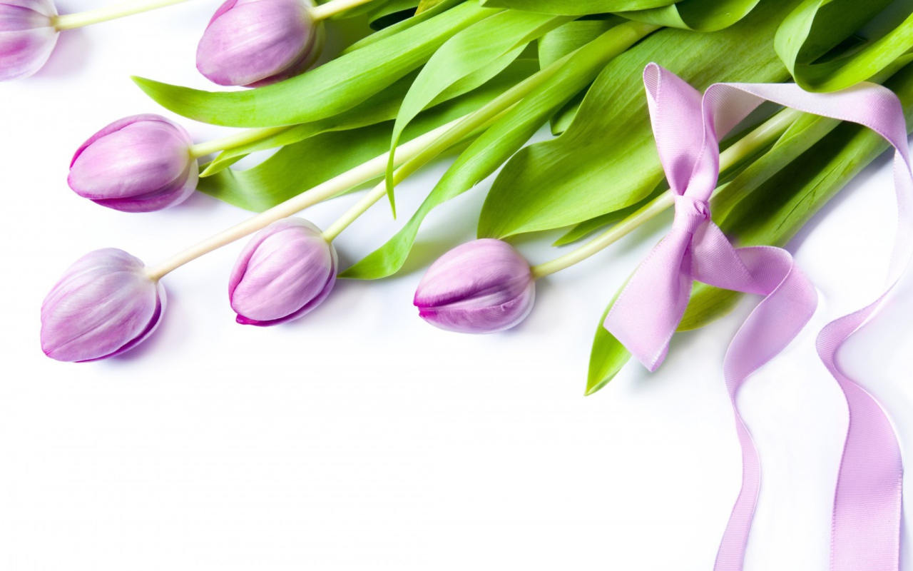 Фиолетовые цветы с бантом