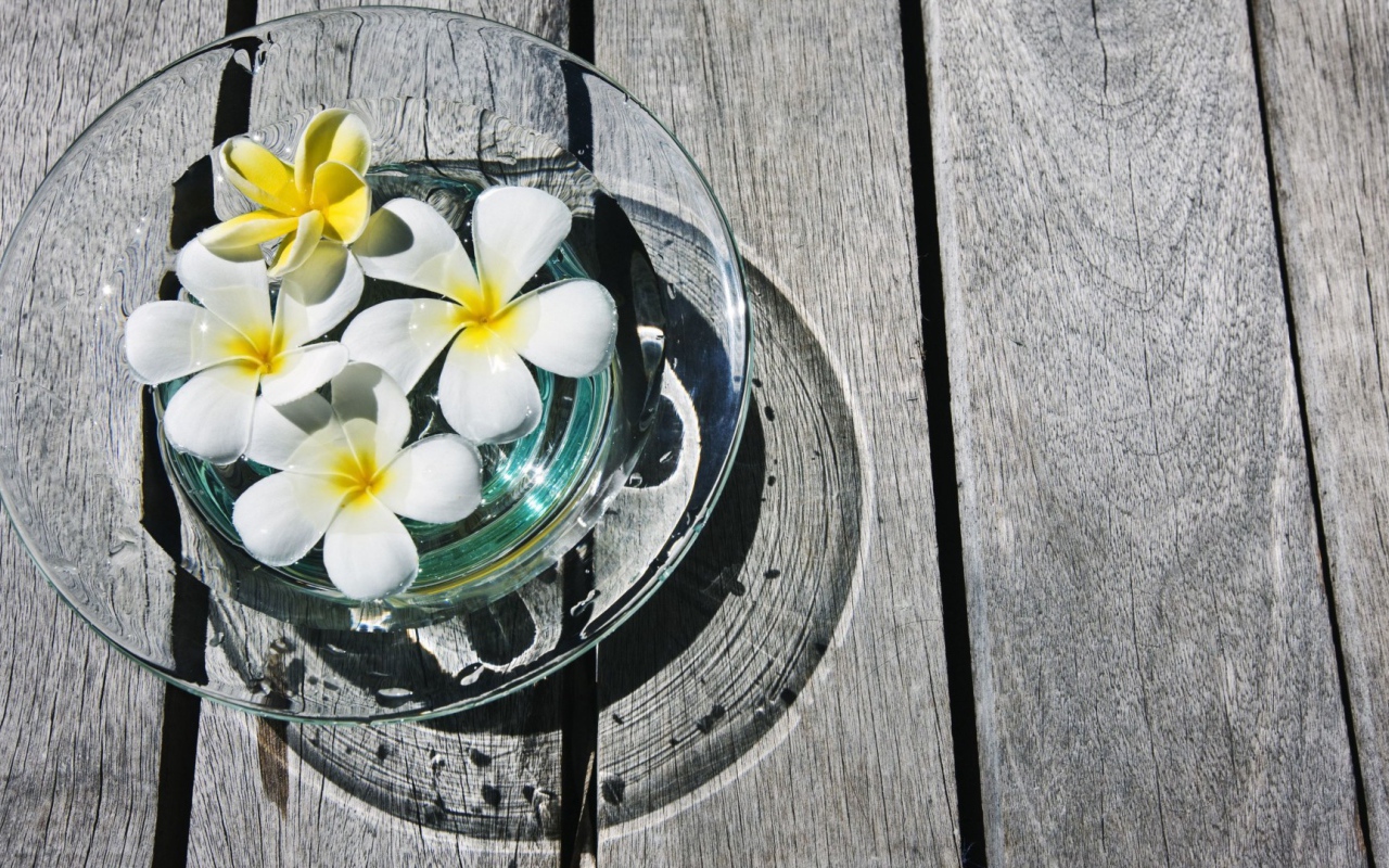 белая композиция