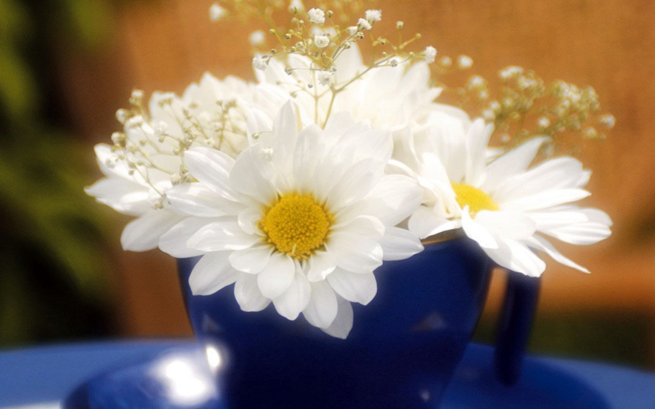 Белые светящиеся цветы
