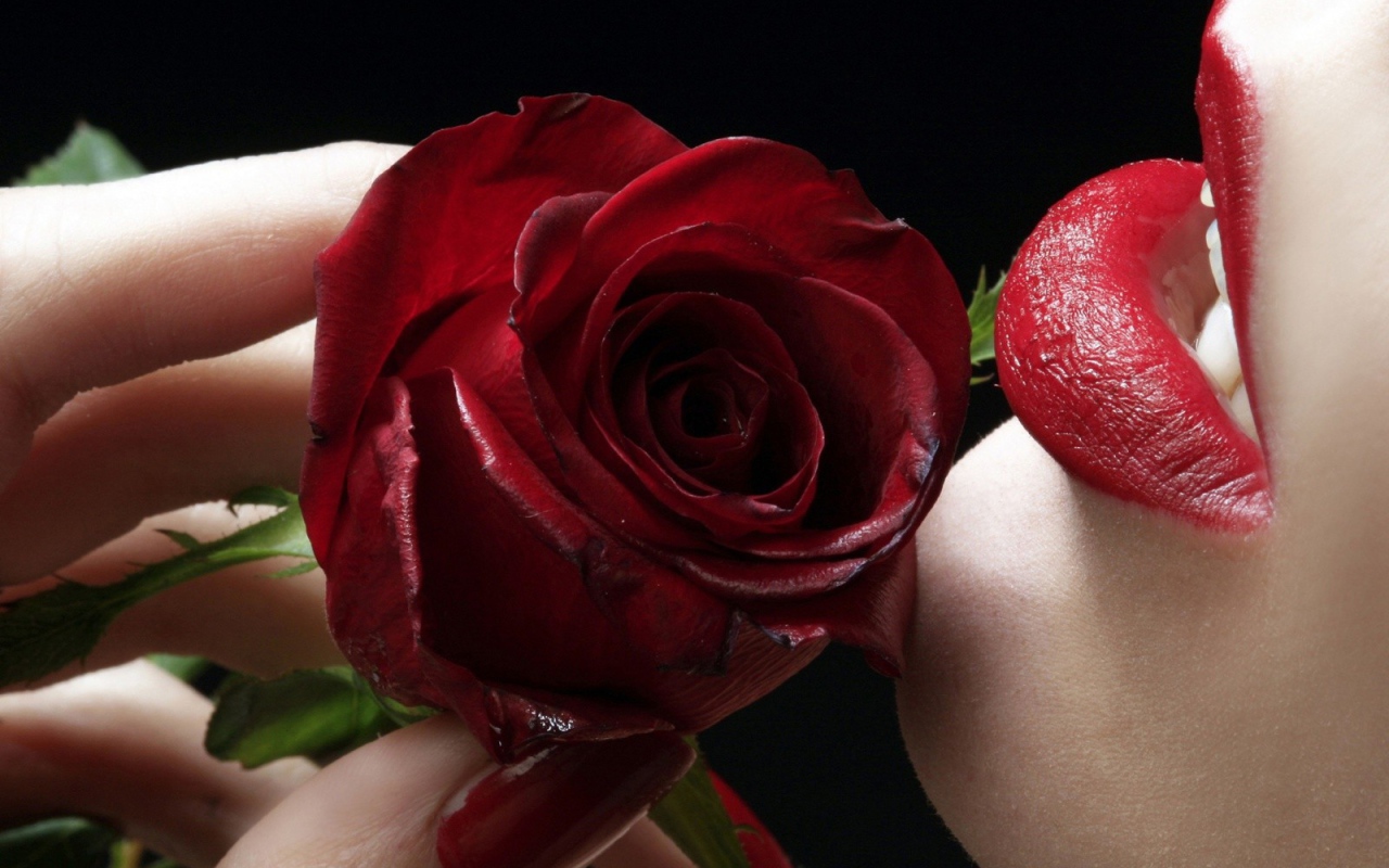 Губы и красные лепестки розы