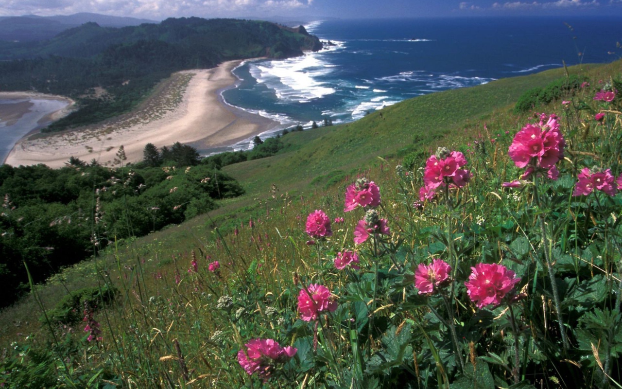 Вид на море с горы