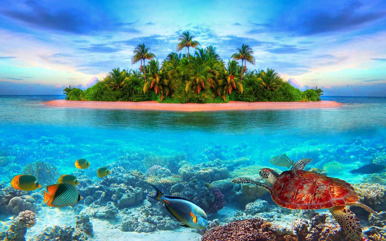 Остров в тропиках