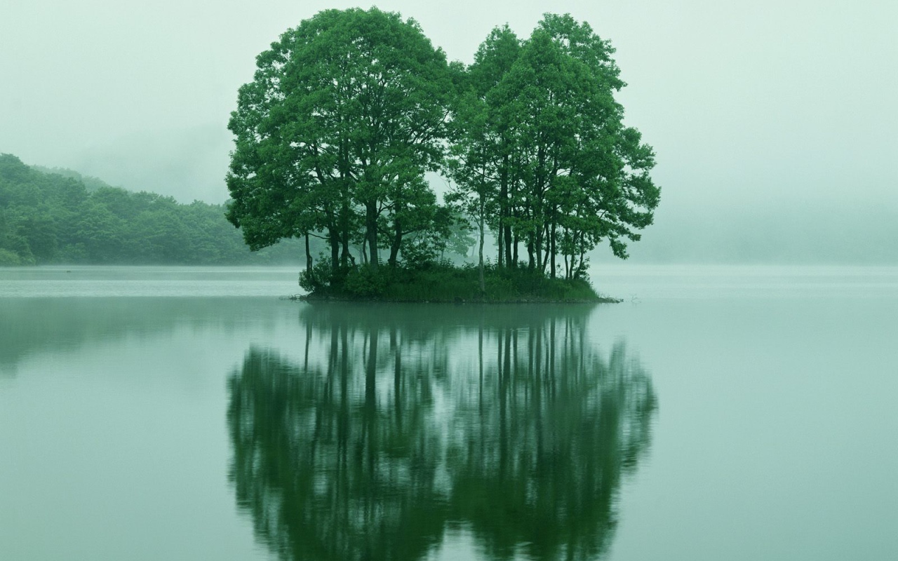 Деревья на маленьком острове