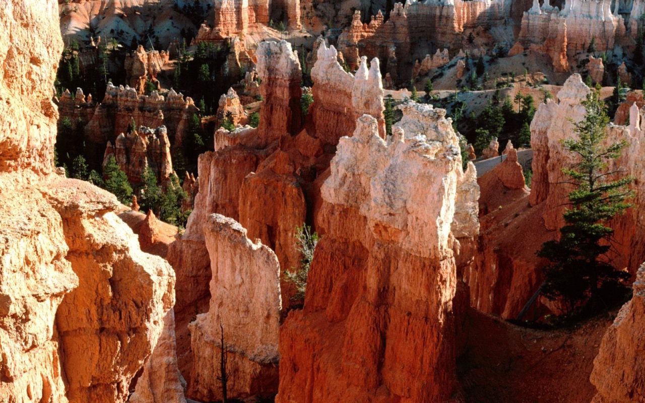 Каньон Брюс