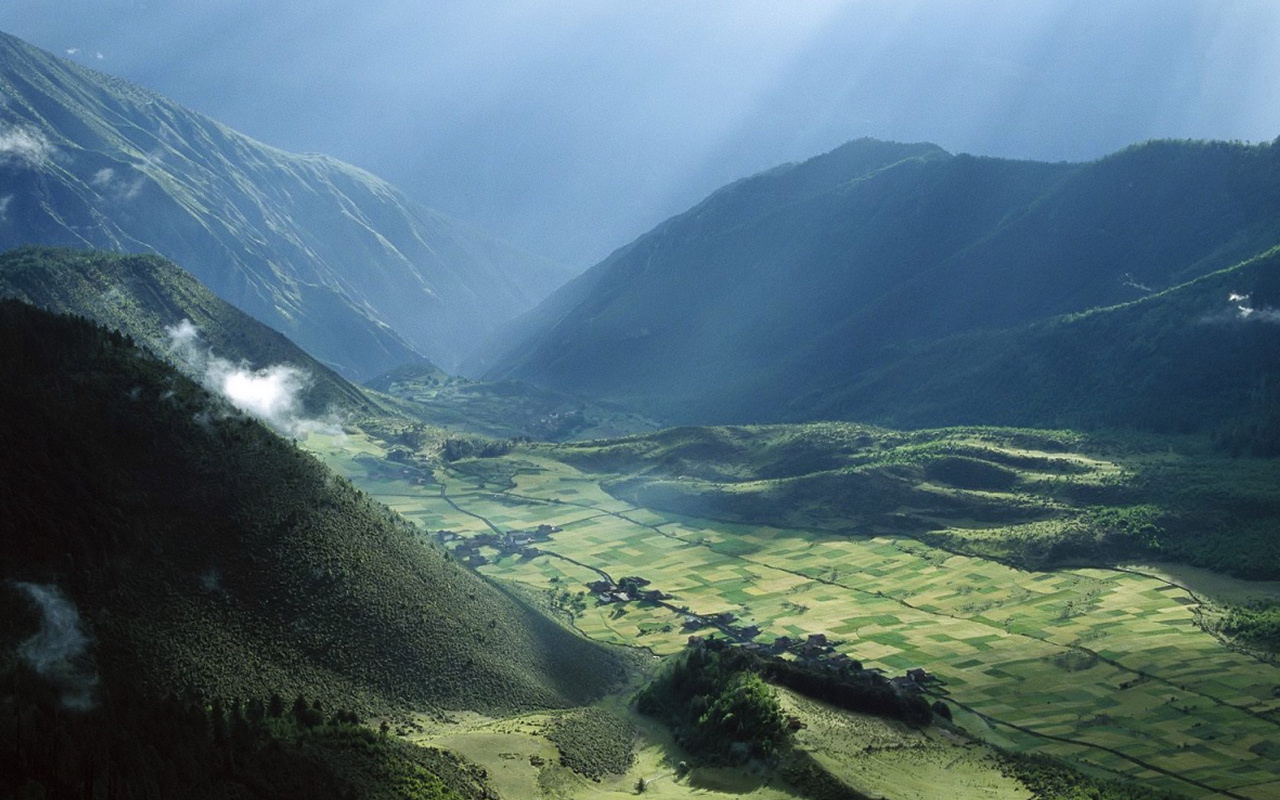 Поле в долине